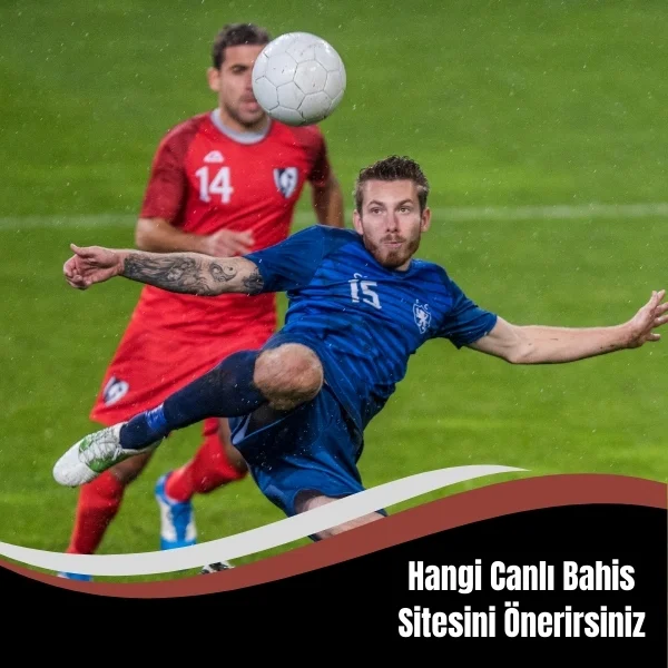 Hangi Canlı Bahis Sitesini Önerirsiniz